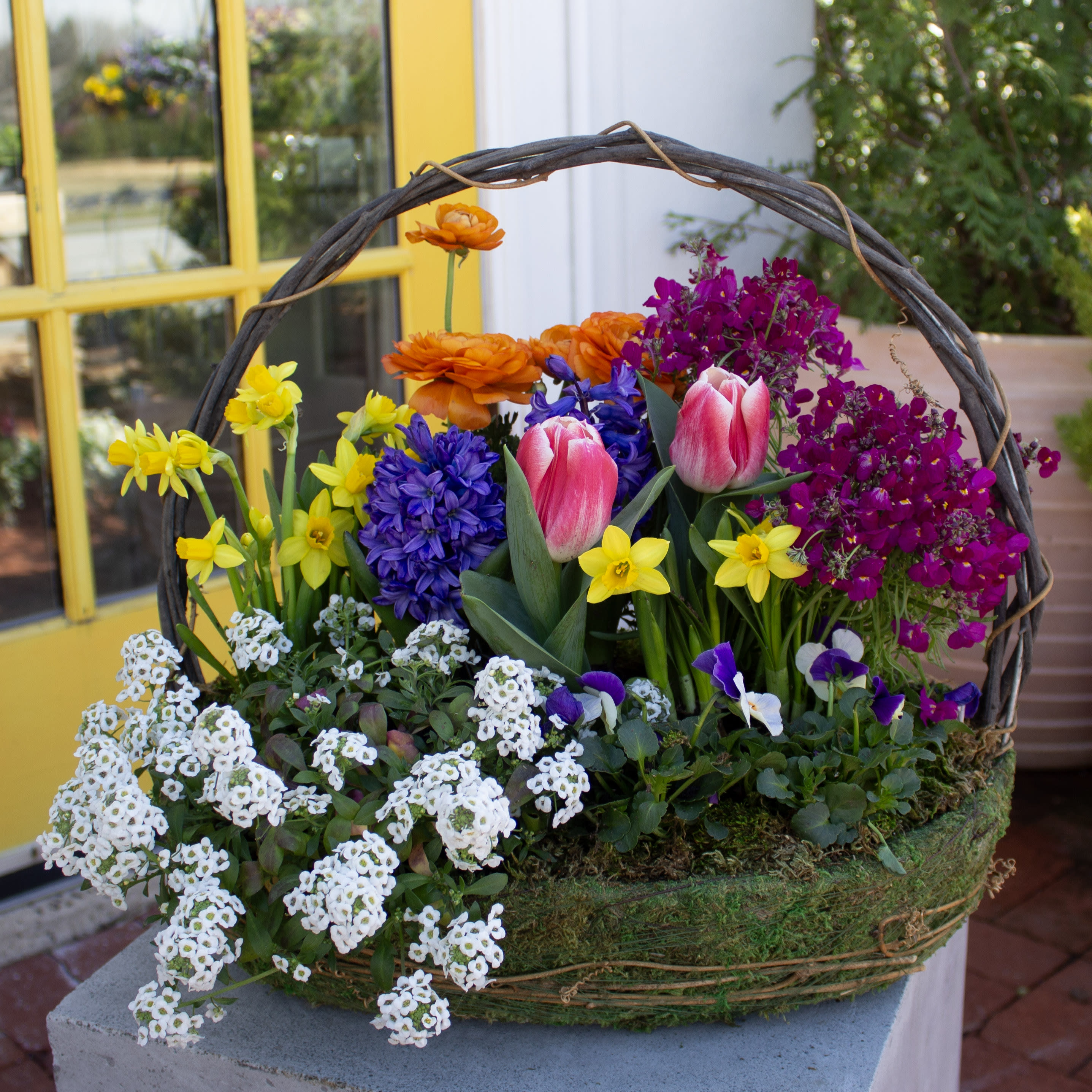 Bulb Garden Basket