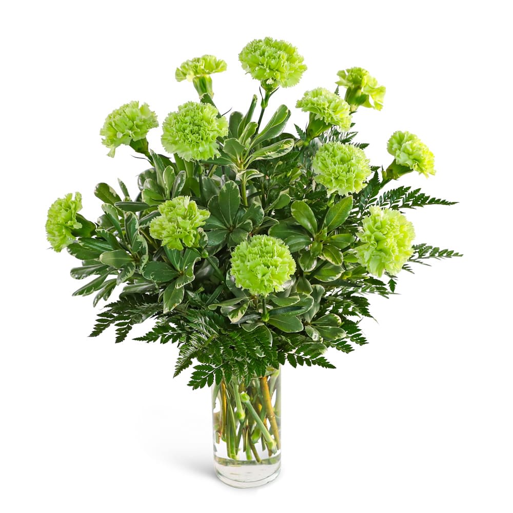 One Dozen Green Carnations Flower Bouquet