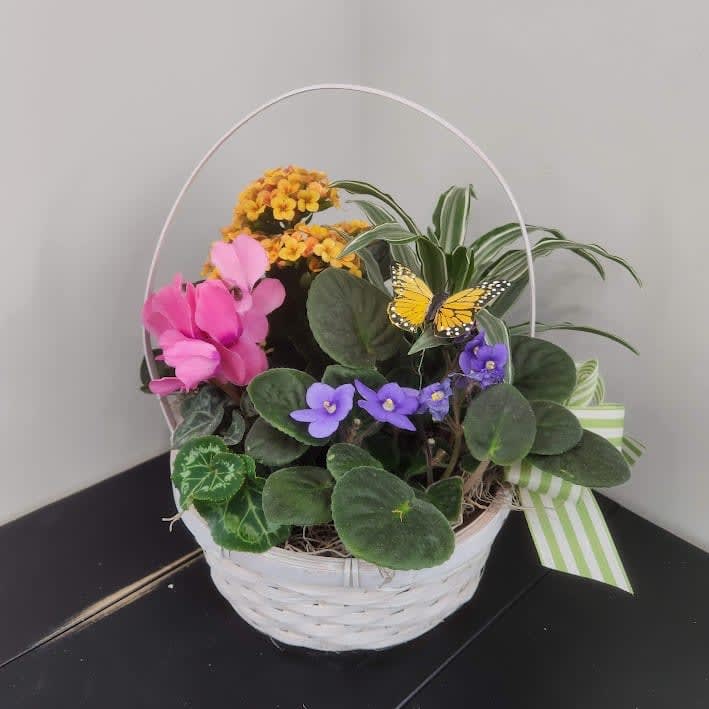 Blooming Planter Subscription Flower Bouquet