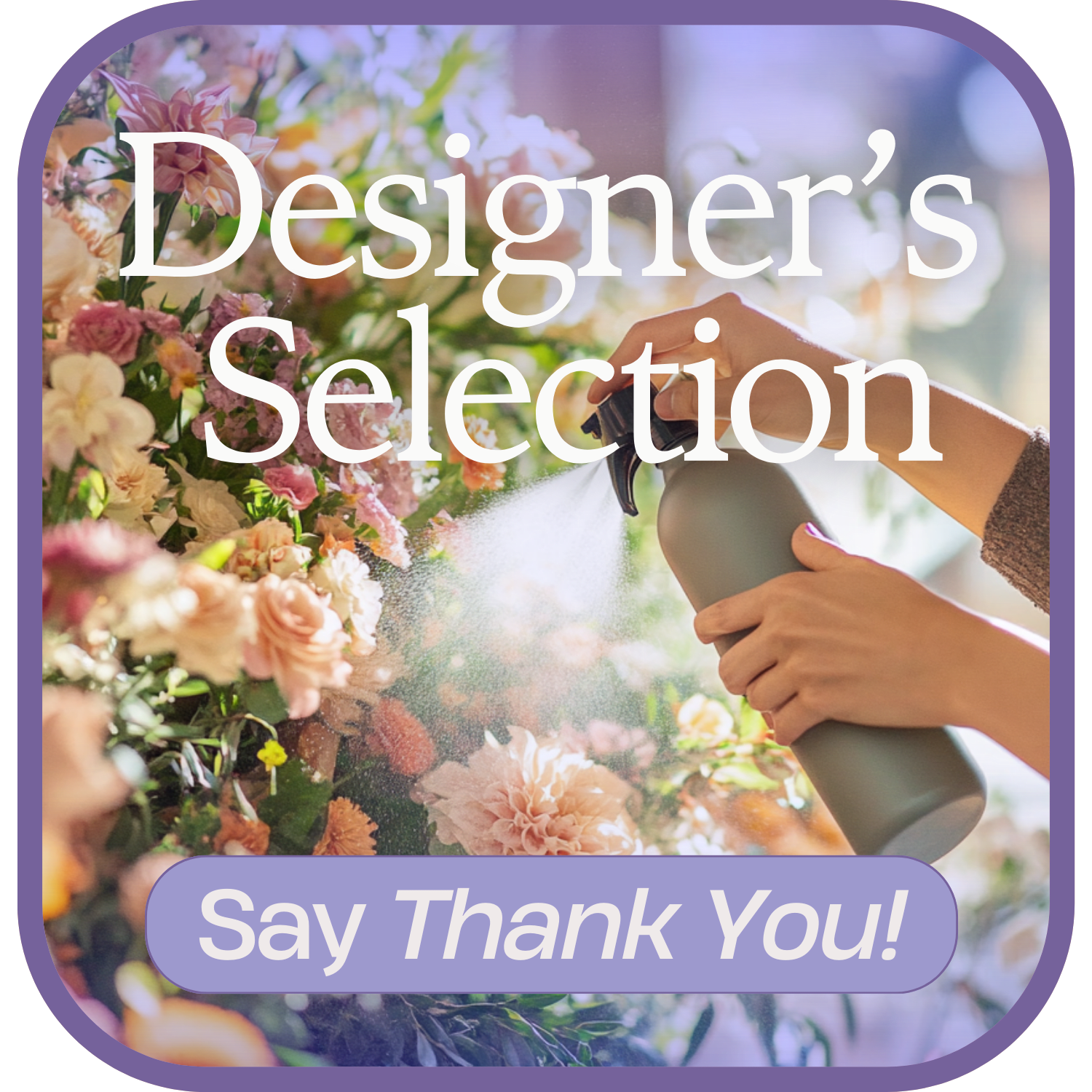 Designer's Choice to Say Thank You
