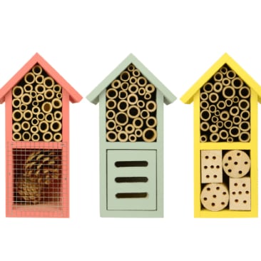 Dual Chamber Beneficial Insect House