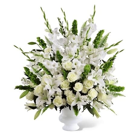 Morning Star Arrangement