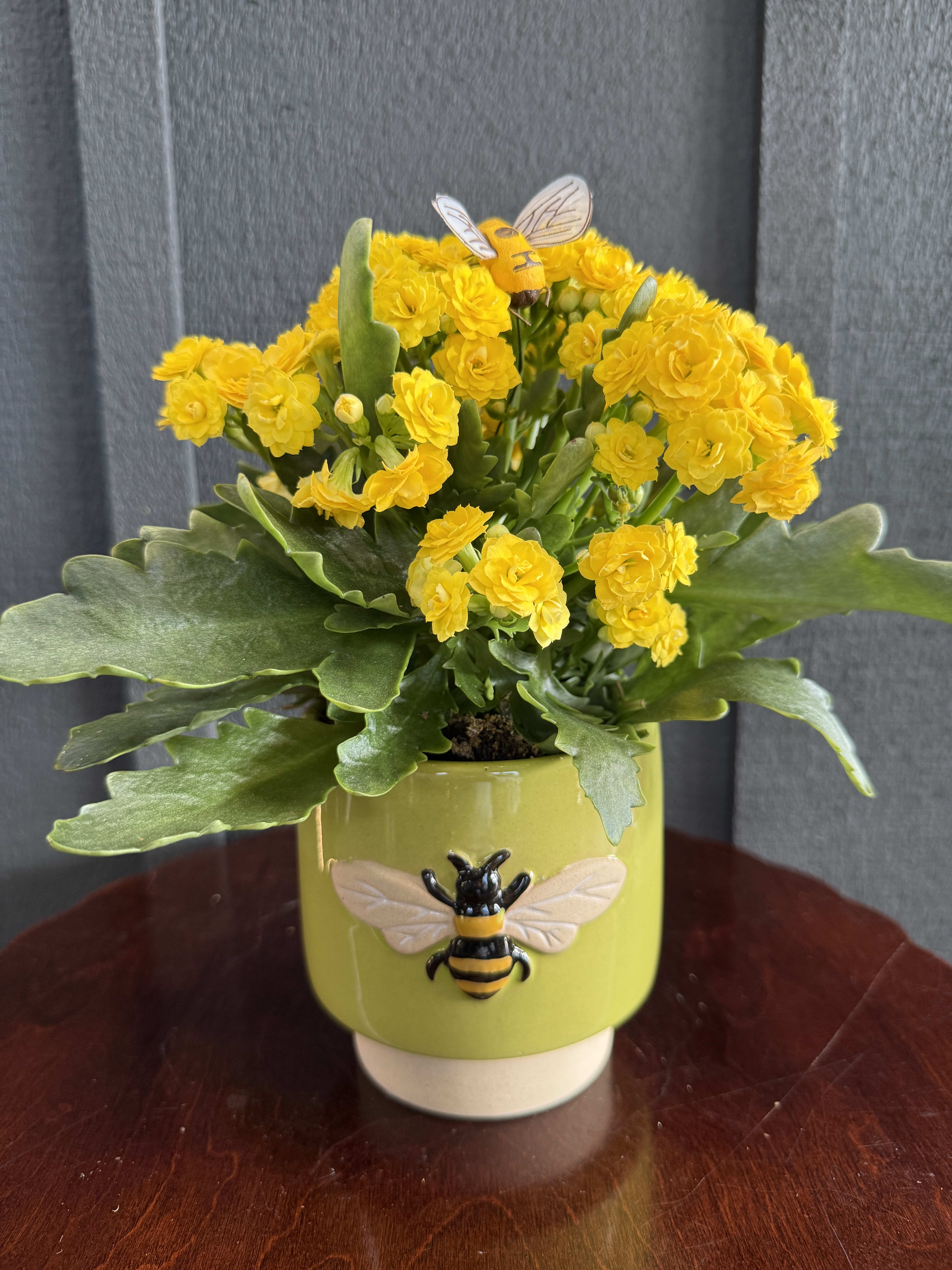 Bee Pot - Kalancho Plant (yellow) Flower Bouquet