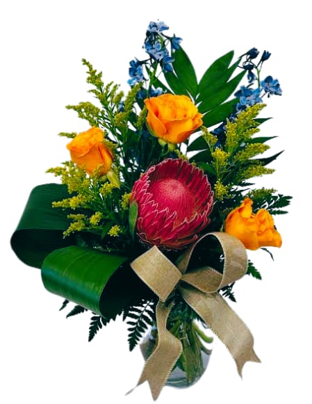 Tropical Fusion V-1462 *7 DAYS PREORDER REQUIRED*