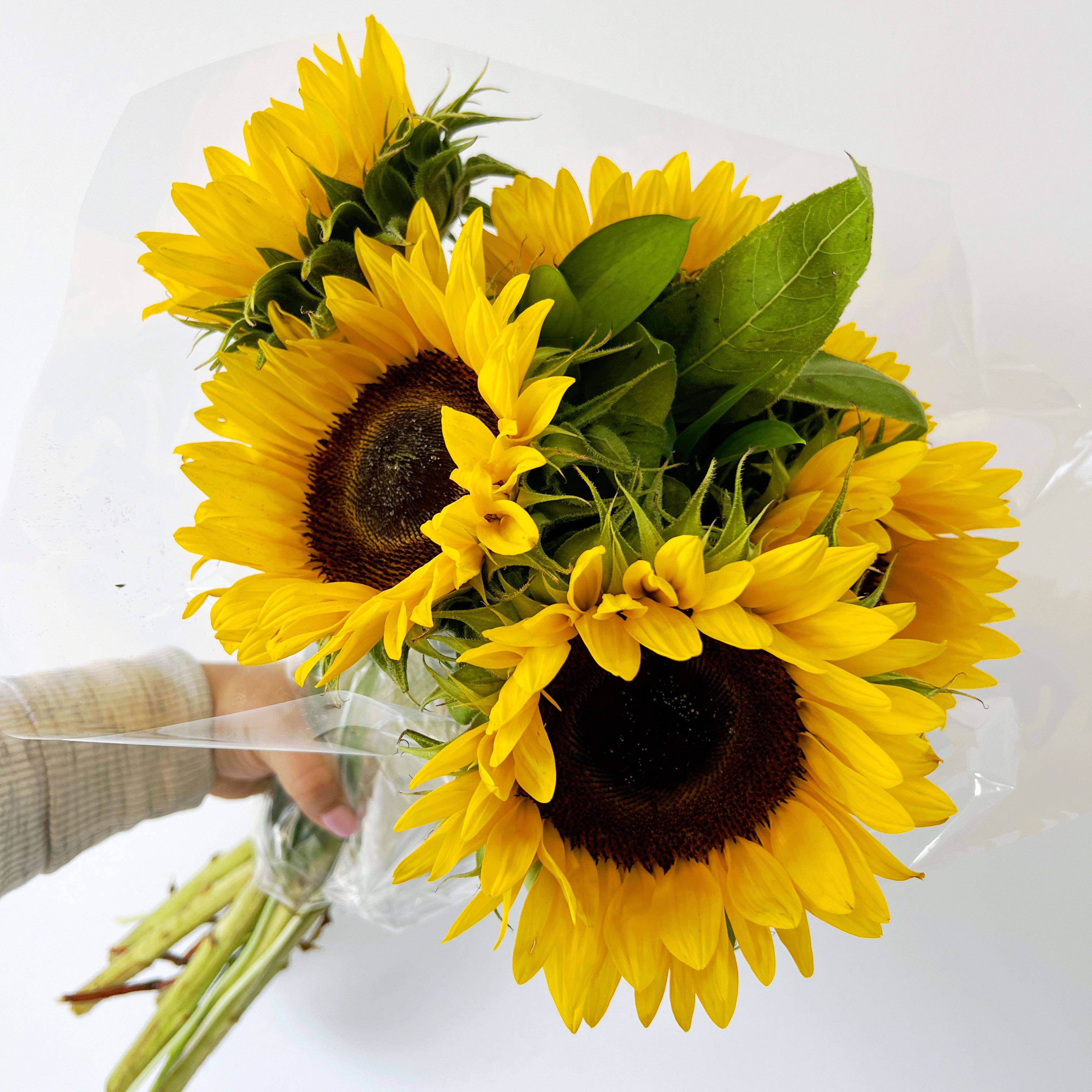 Market Bunch of Local Sunflowers
