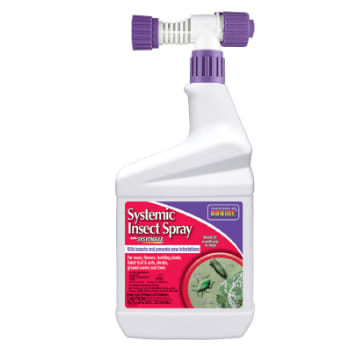 Systemic Insect Spray
