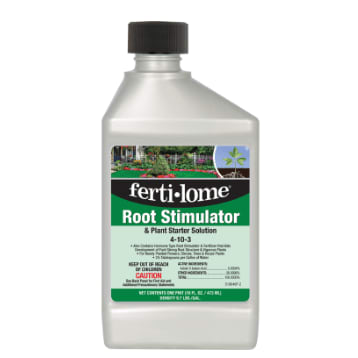Root Stimulator