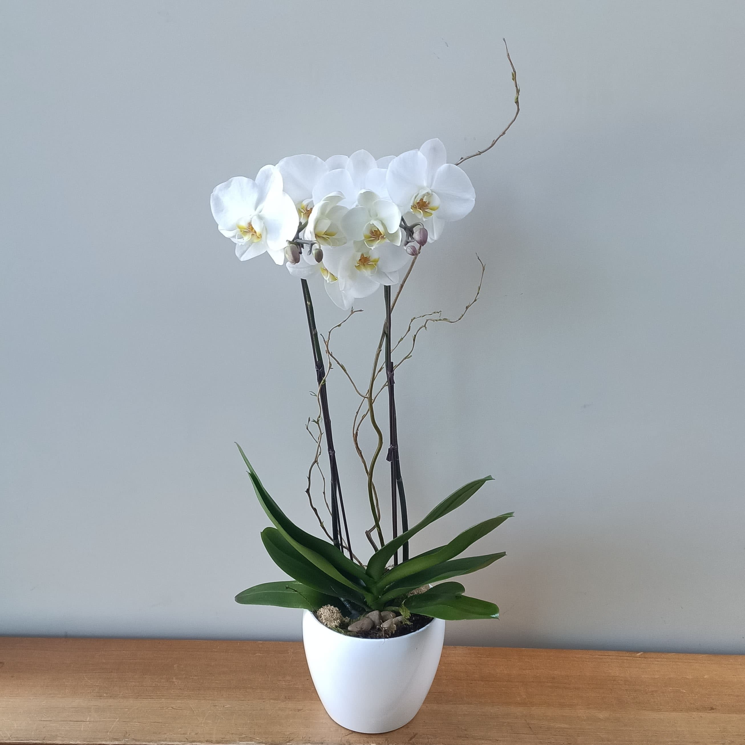 Large double-stem White Orchid Flower Bouquet