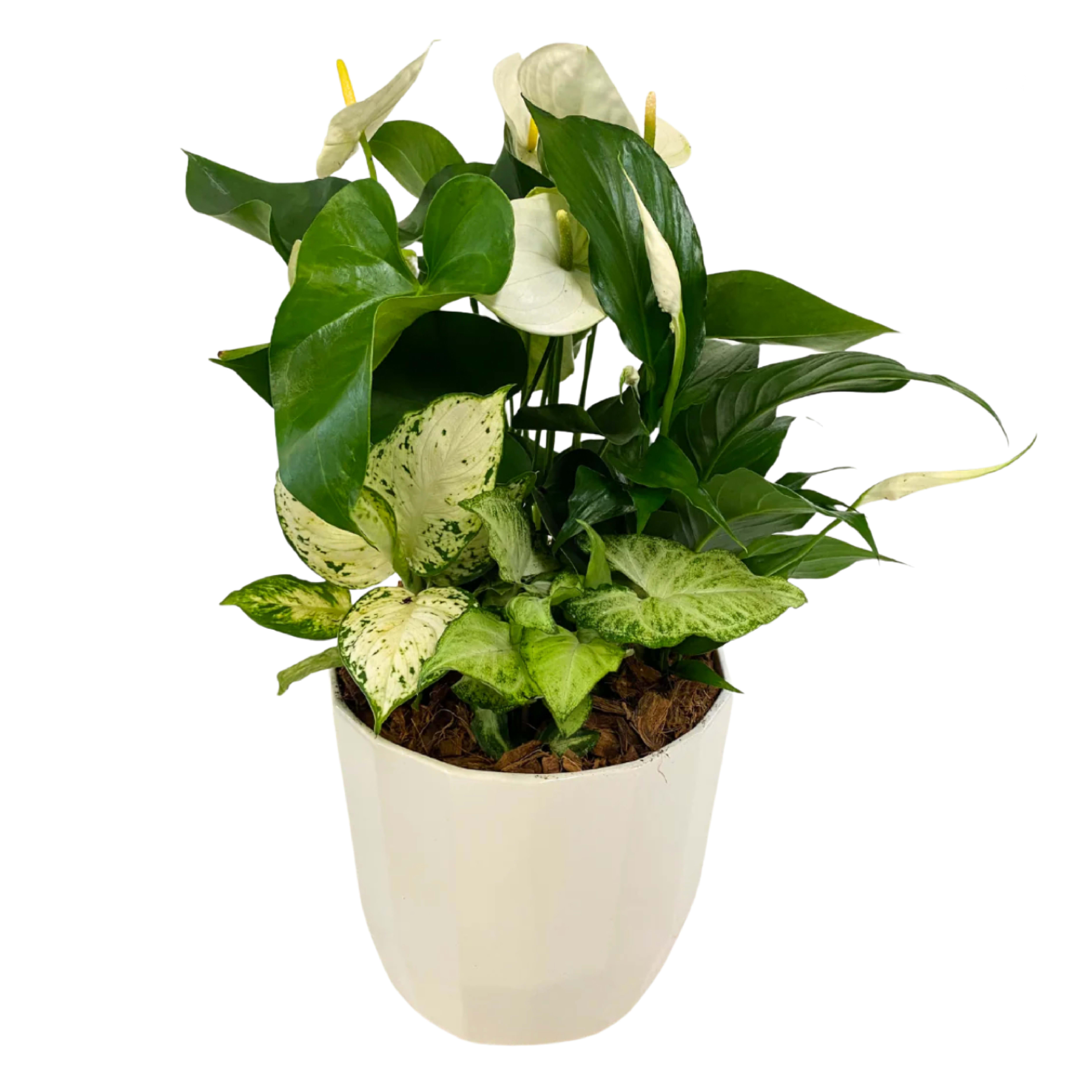 Geometric Sympathy Planter Flower Bouquet