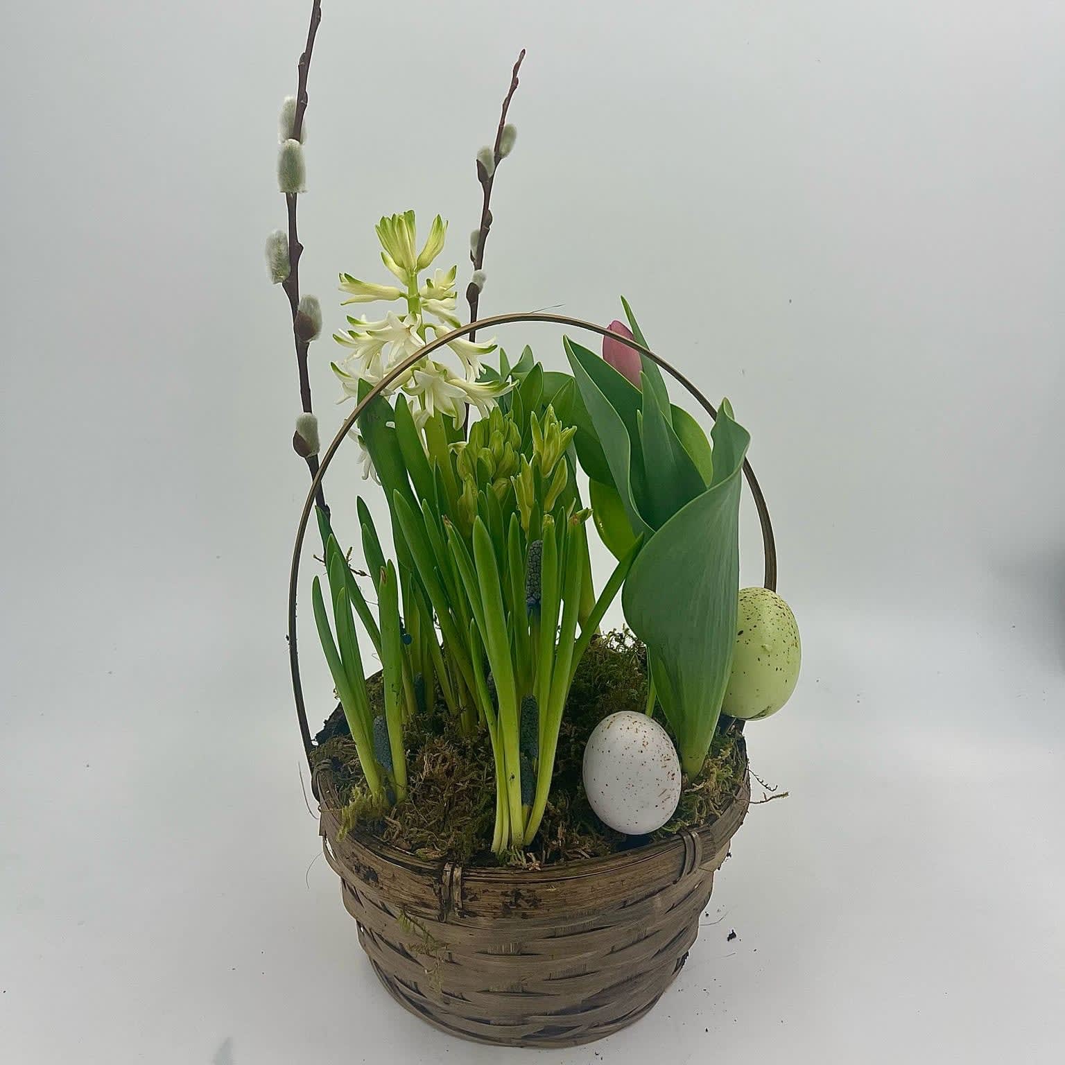 Spring Bulb Easter Basket