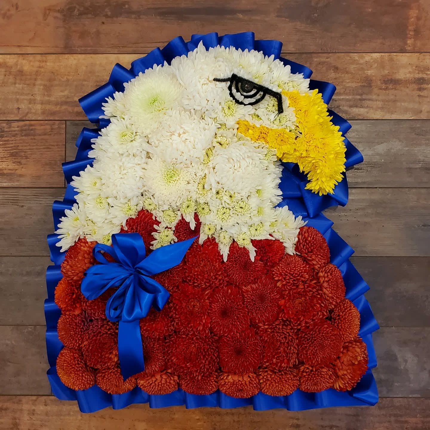 American Bald Eagle with Blue