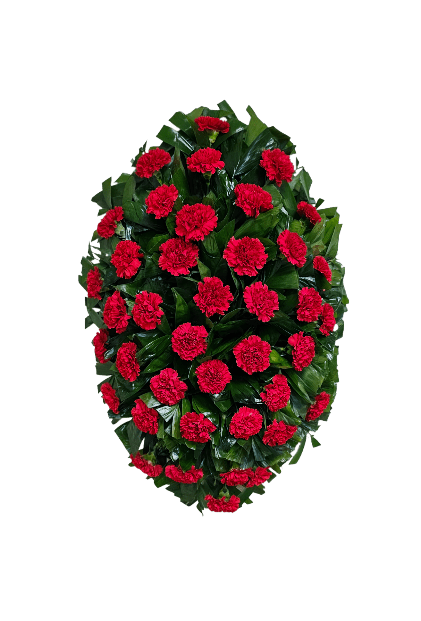 C-8 Corona de claveles