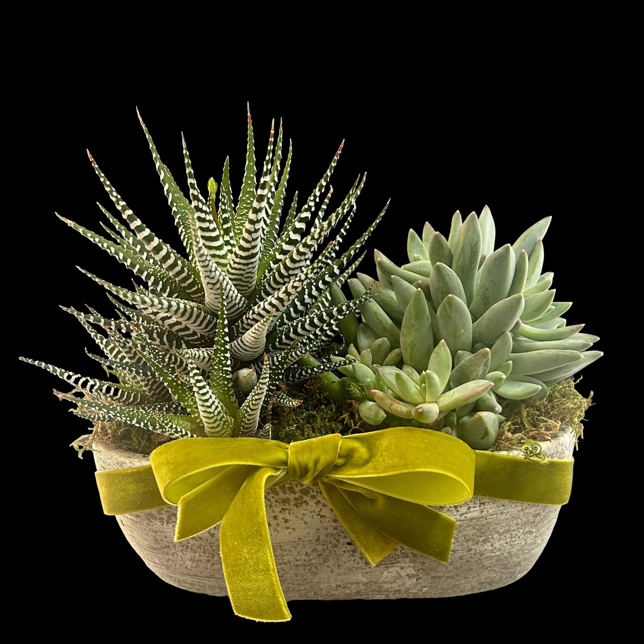 Stone Succulent Planter Flower Bouquet