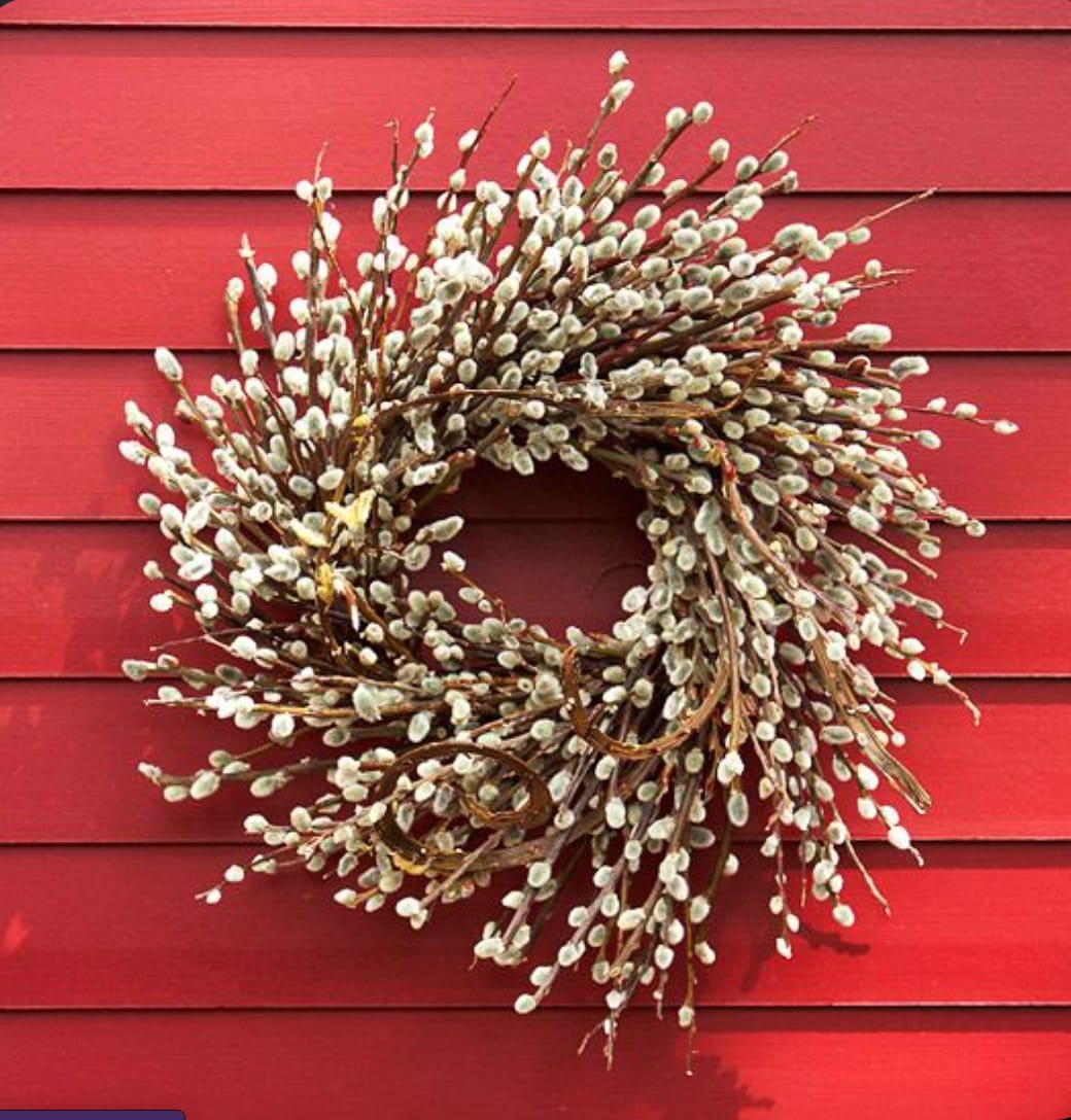 Pussy Willow Wreath