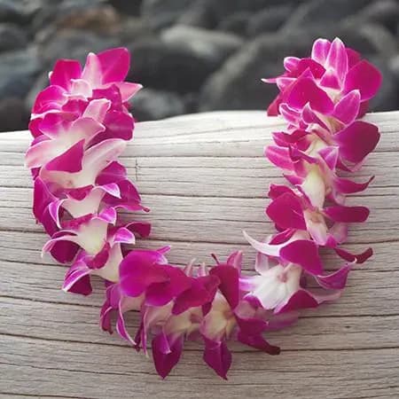 Orchid Lei