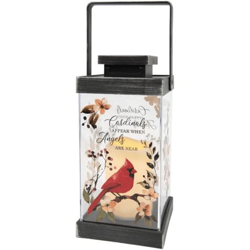 Cardinals – Lantern