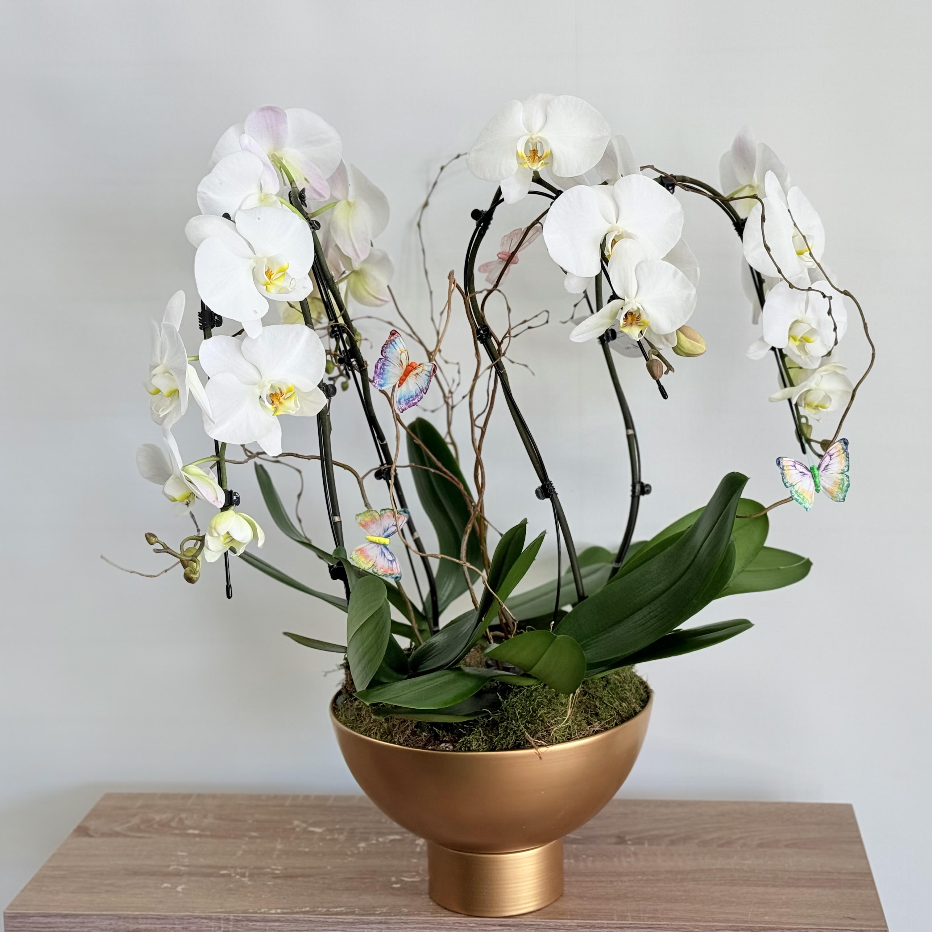White Luxury Orchid Garden By Elite