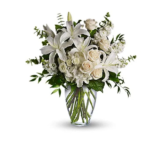 Dreams From the Heart