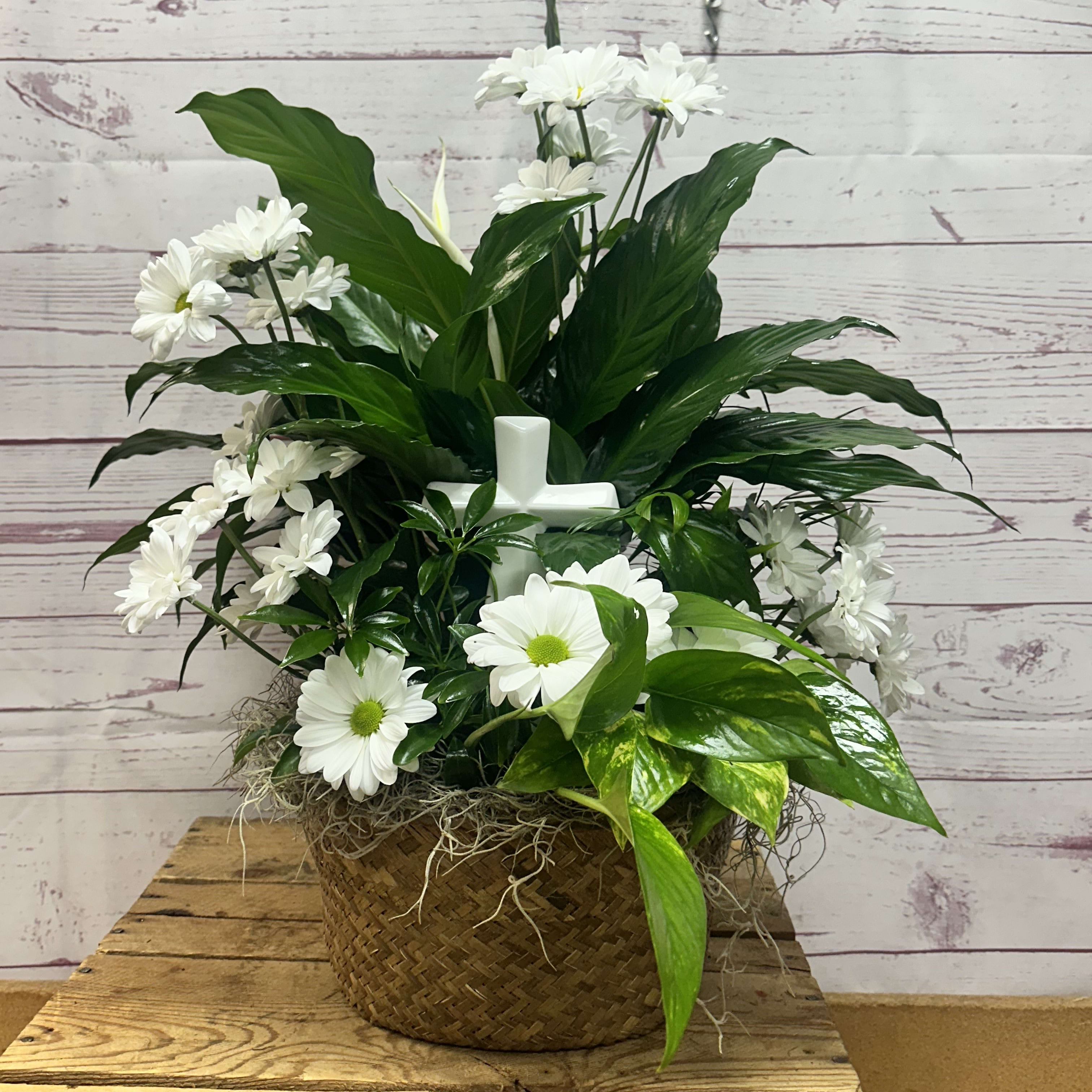 Lasting Faith Dish Garden