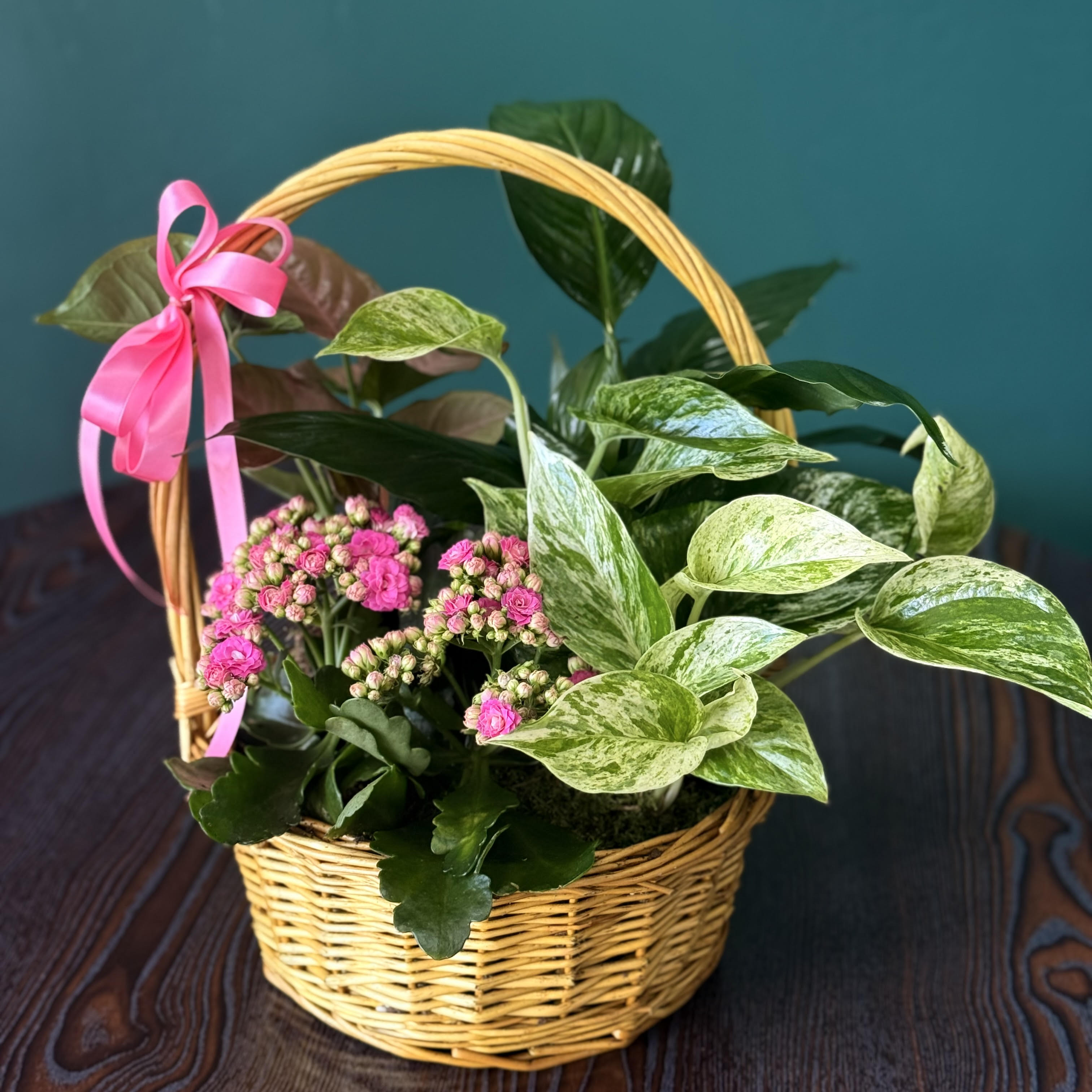 Standard Mixed Dishgarden Flower Bouquet