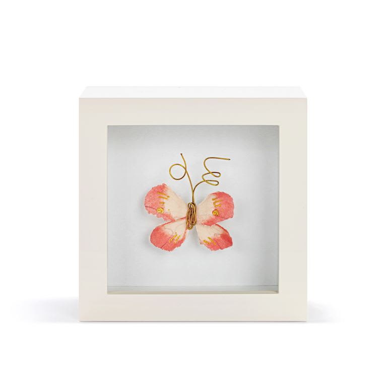 LOVED SO MUCH CORAL BUTTERFLY SHADOWBOX
