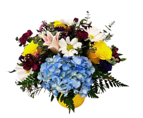 Spring Breeze IF-5035