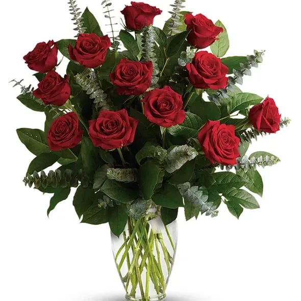 Elegant Dozen Roses