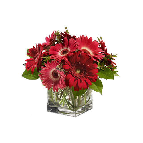 Gorgeous Gerberas Flower Bouquet