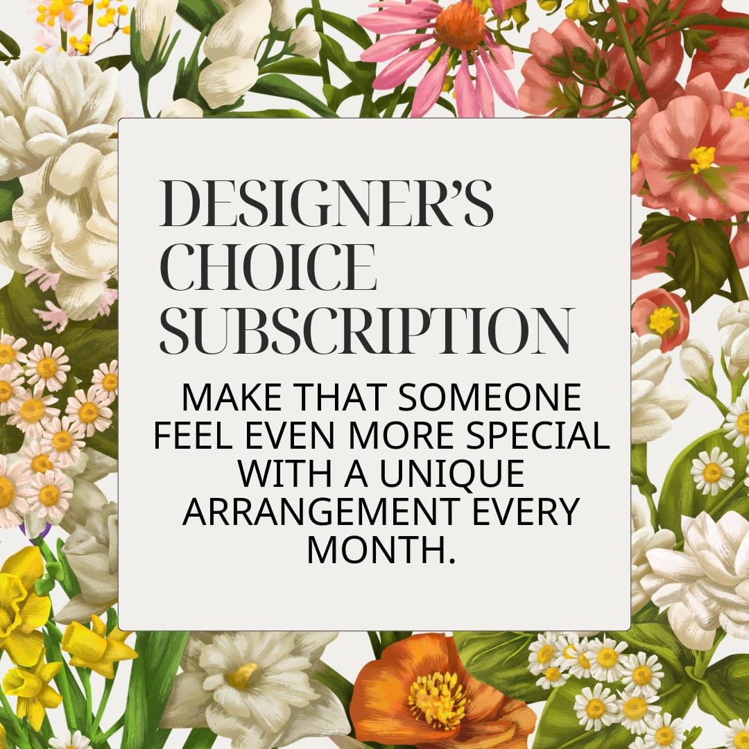 Designer's Choice Daily Deal Subscription