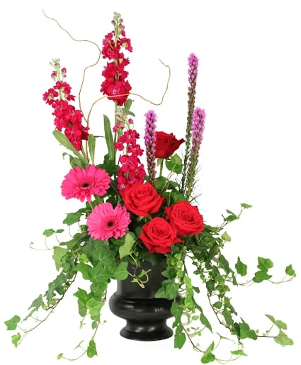 PEACEFUL ADORNMENT FLOWERING PLANTS