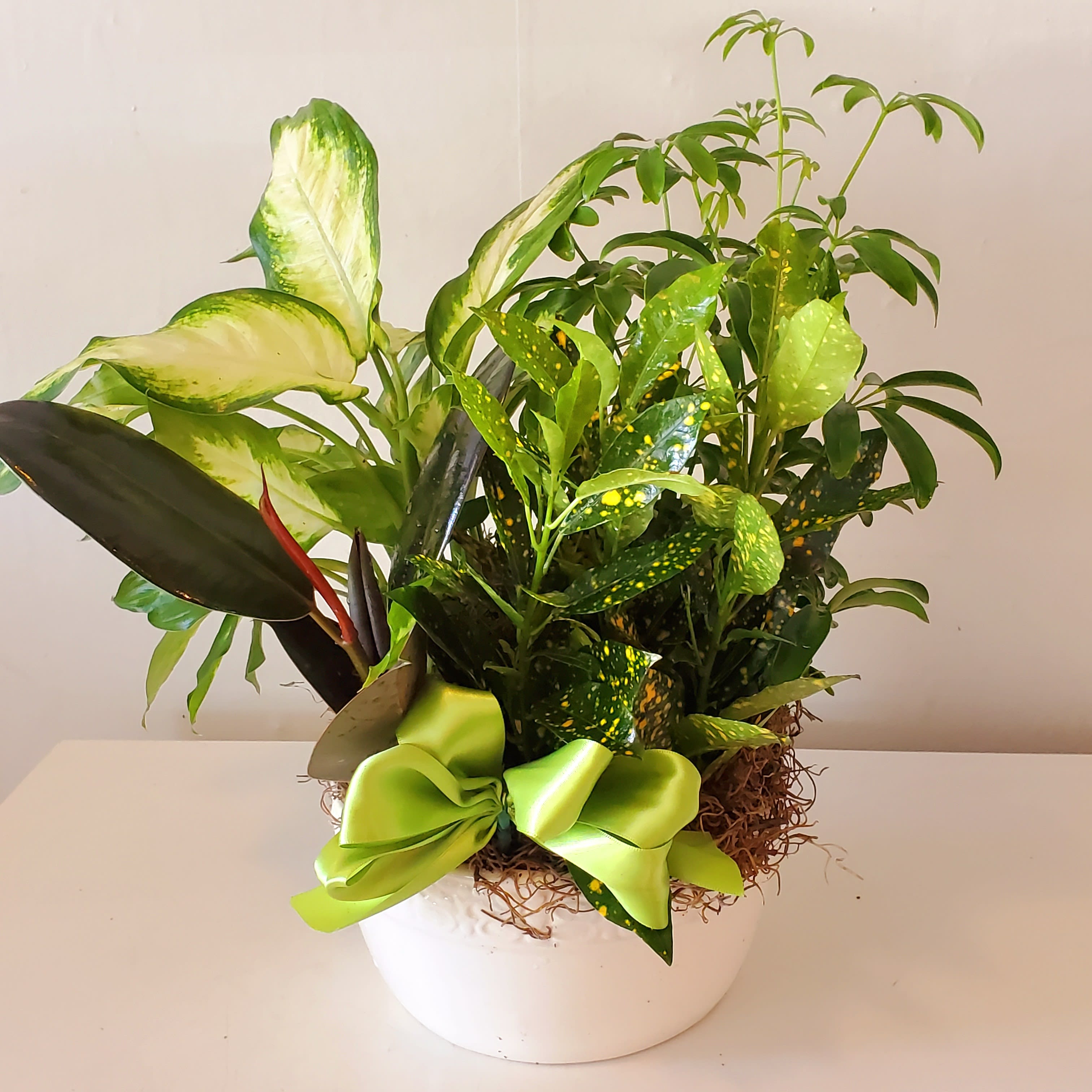 Dish Garden in Ceramic Flower Bouquet