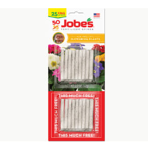 Flowers Plant Spikes