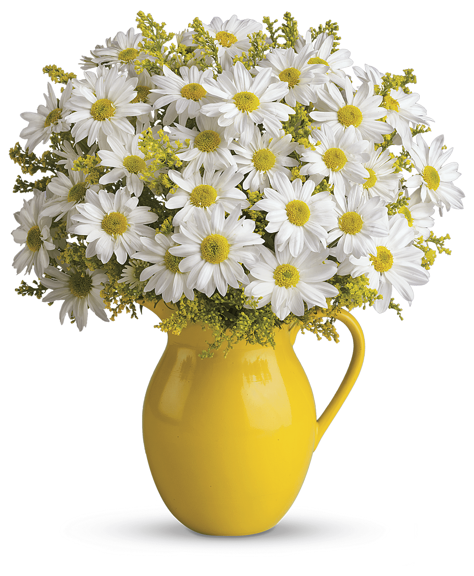 Teleflora's Sunny Day Pitcher of Daisies