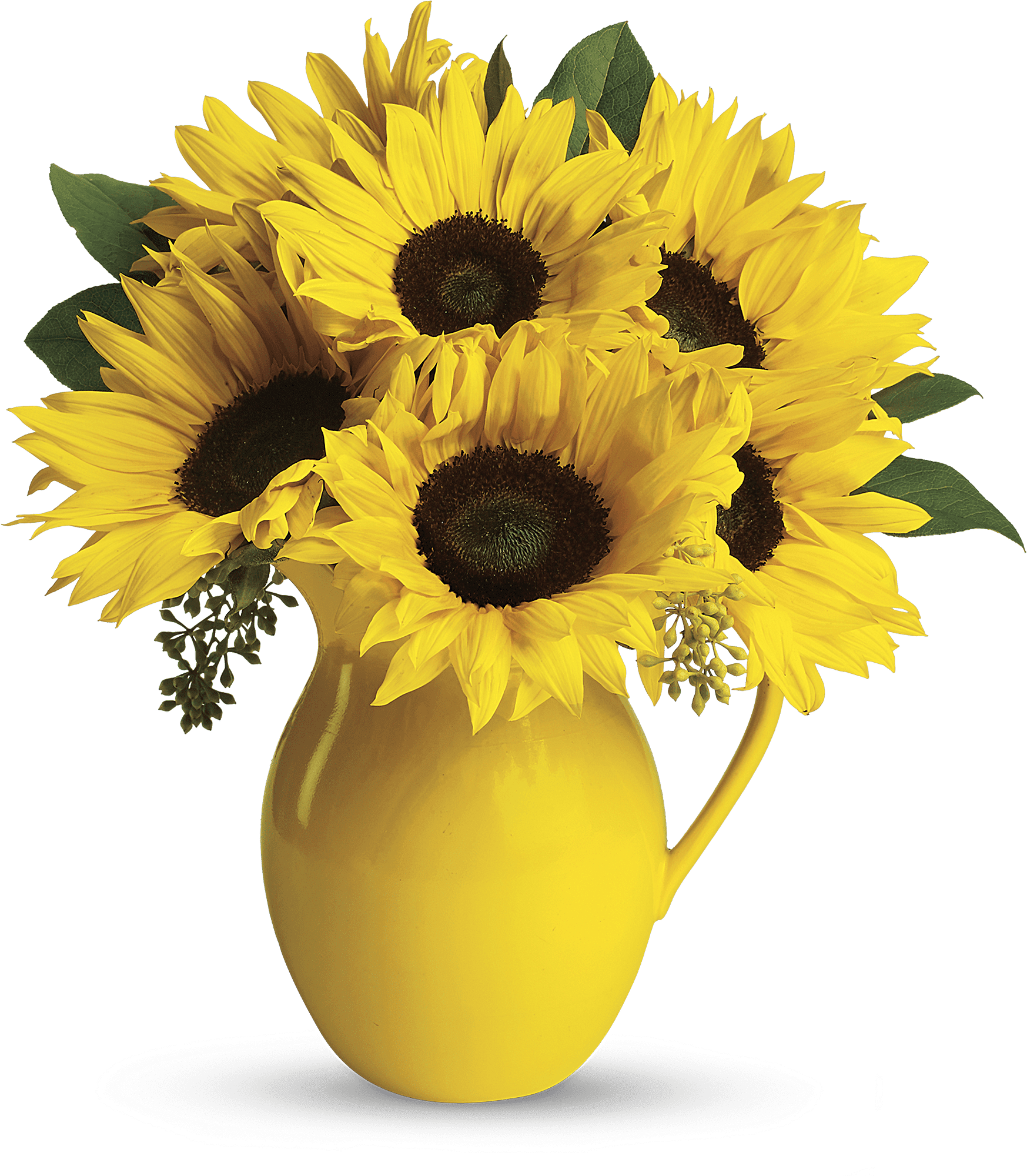 Teleflora's Sunny Day Pitcher of Sunflowers