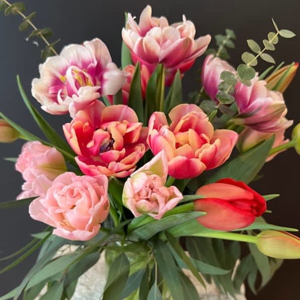 Locally Grown in Maine Tulips Flower Bouquet
