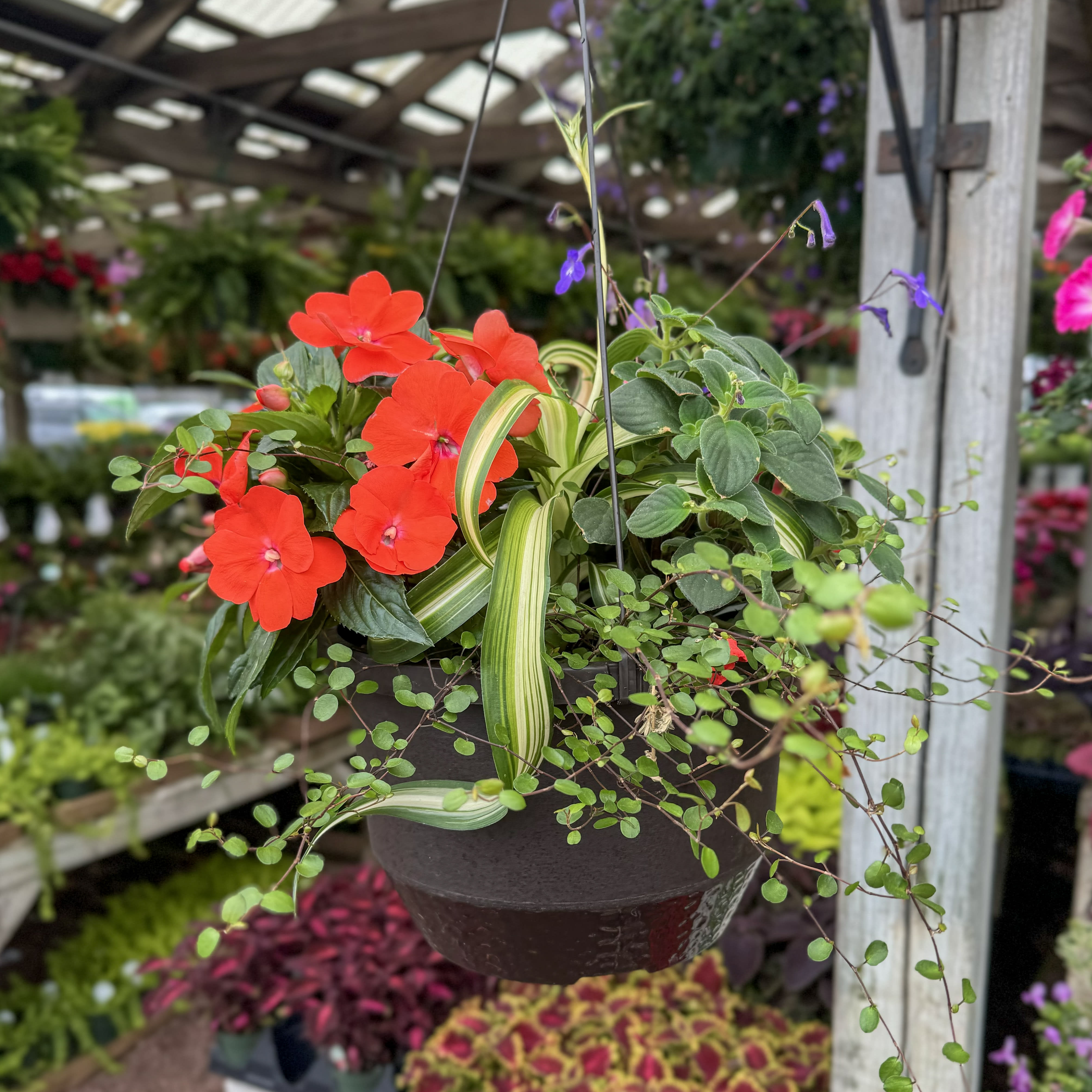 Shade-Loving Hanging Basket Flower Bouquet