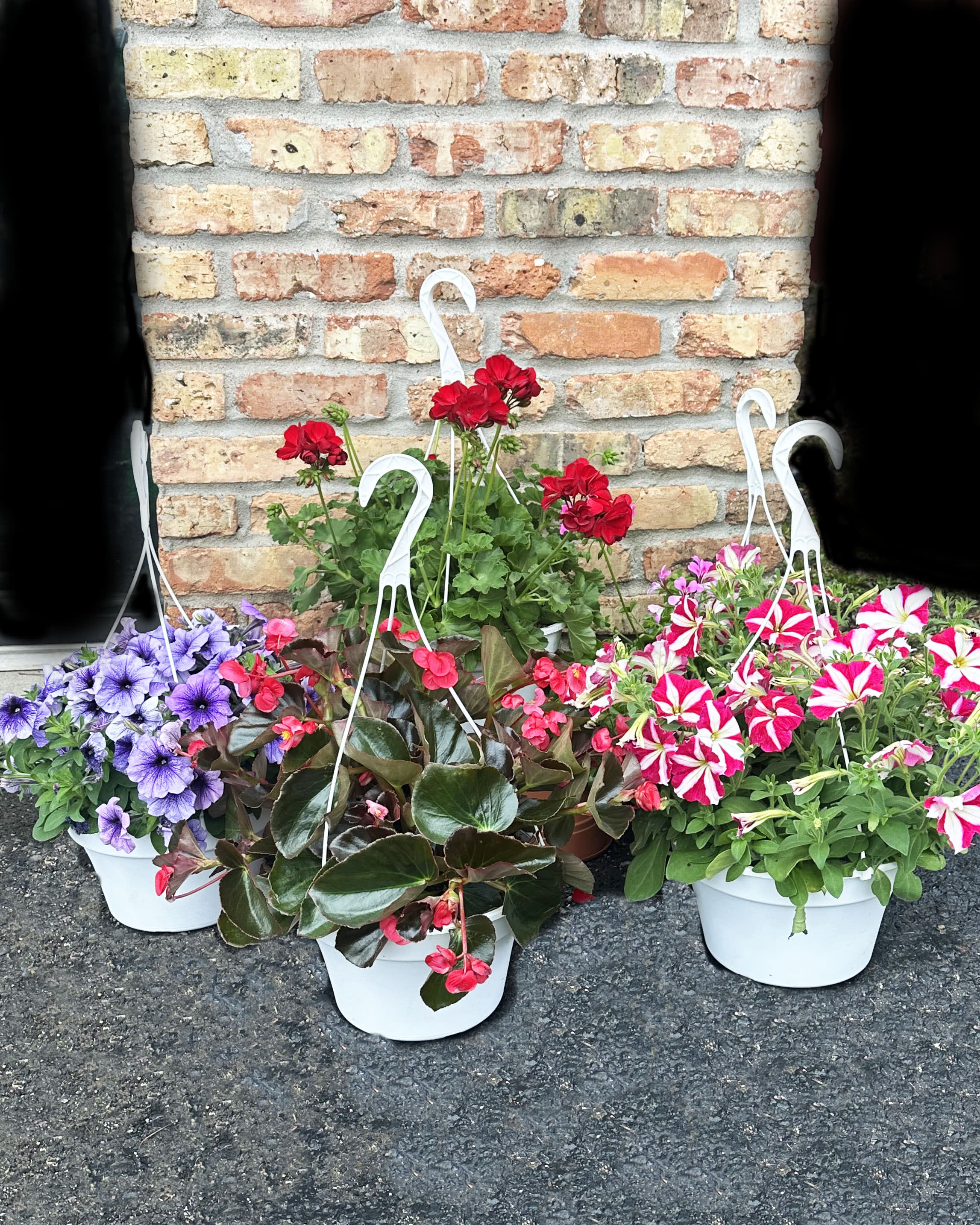 10 " Hanging Basket Flower Bouquet