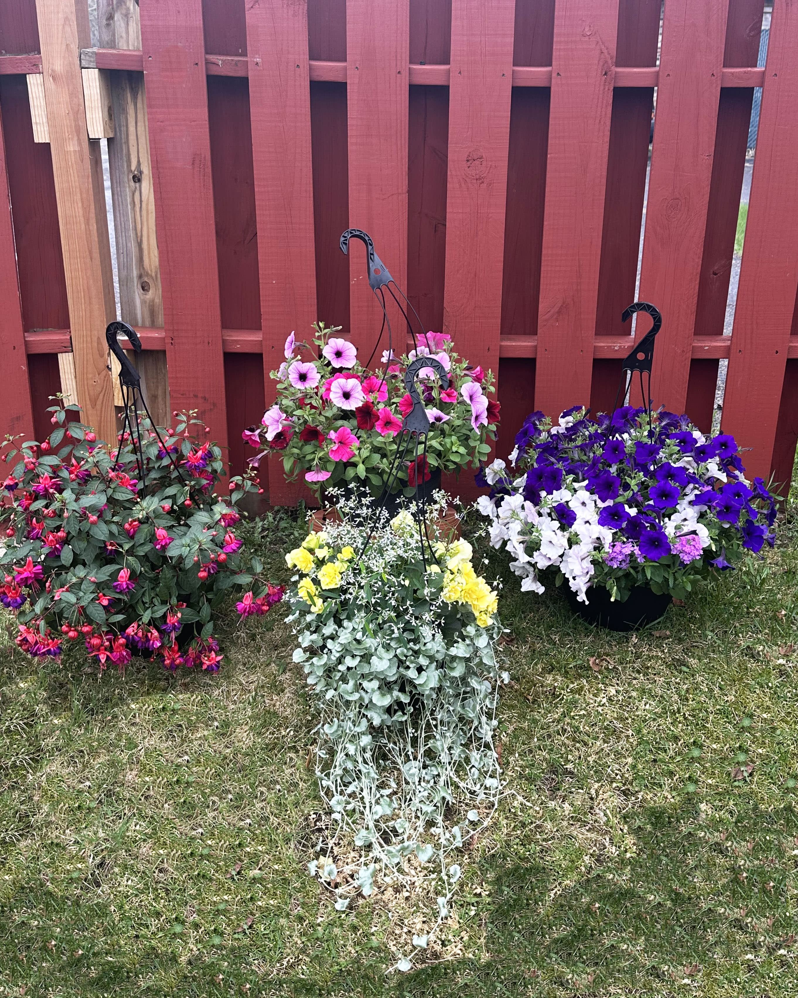 12 " Outdoor Hanging Basket Flower Bouquet