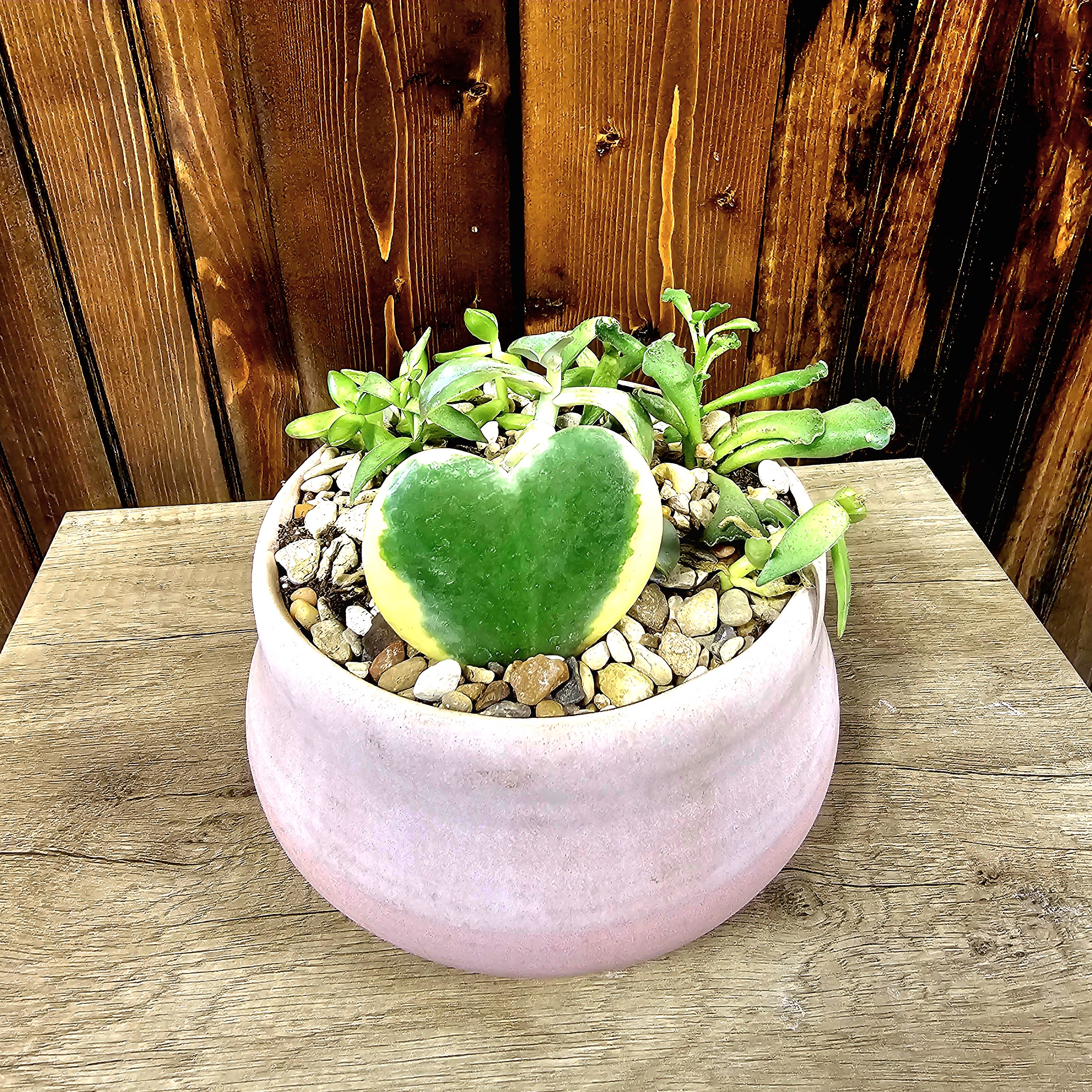Pink Ceramic Succulent Garden Flower Bouquet