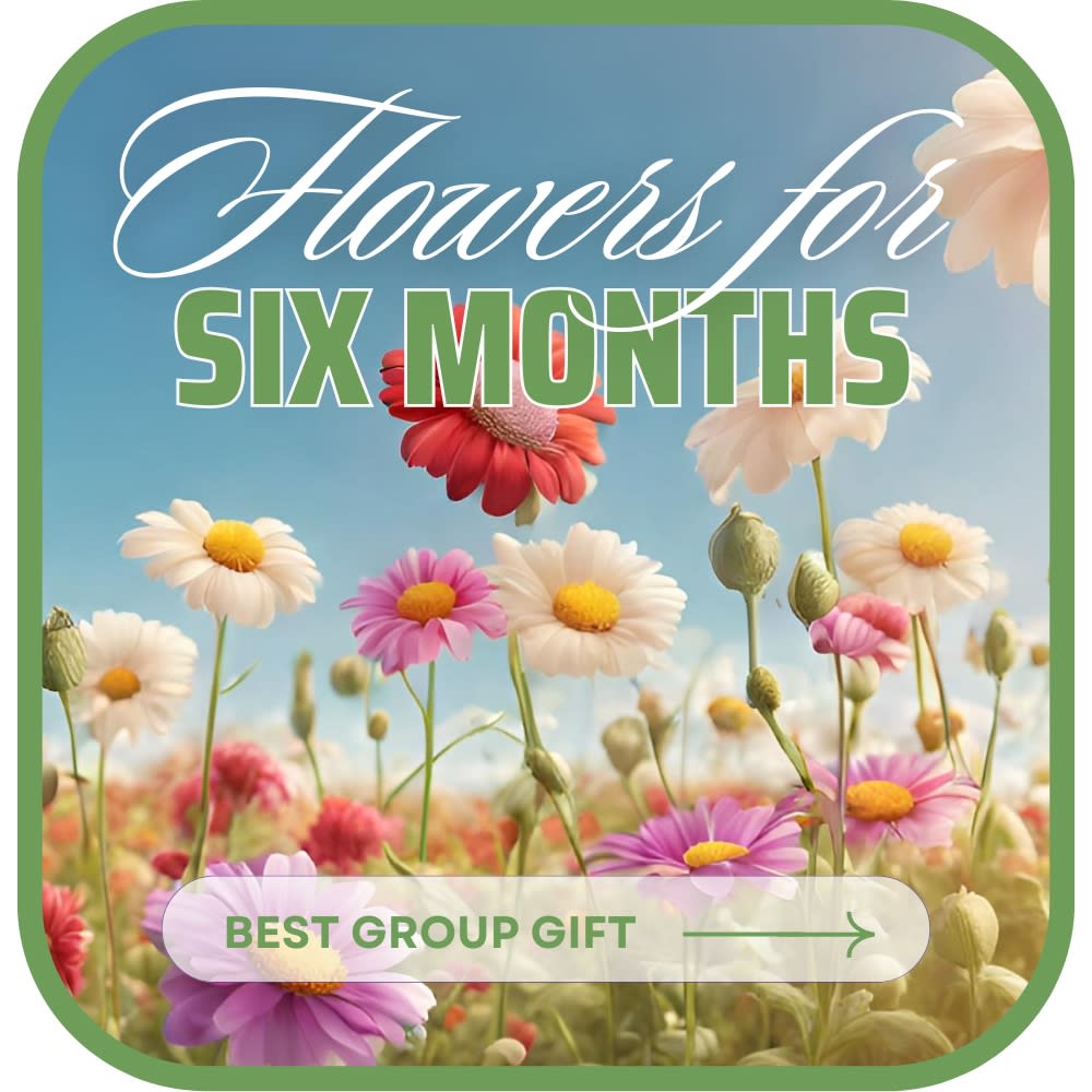 Bouquet of the Month Club (6)