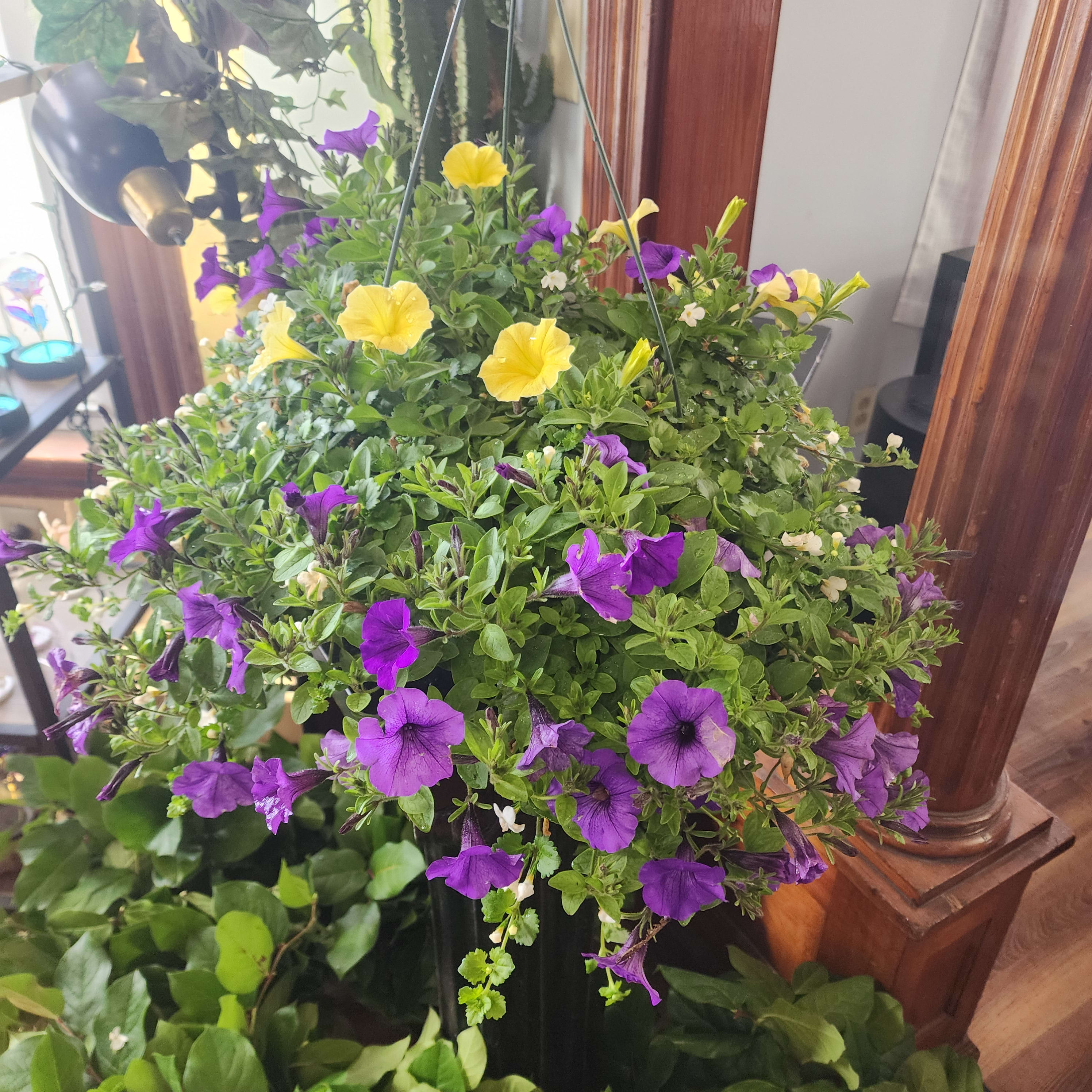 Mix Hanging Basket Flower Bouquet