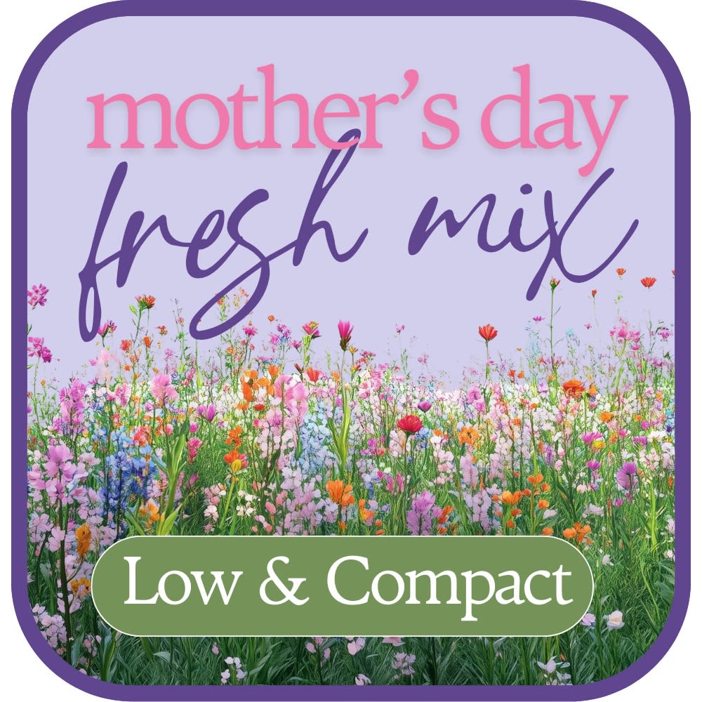 Designer's Choice Low and Compact Flower Bouquet