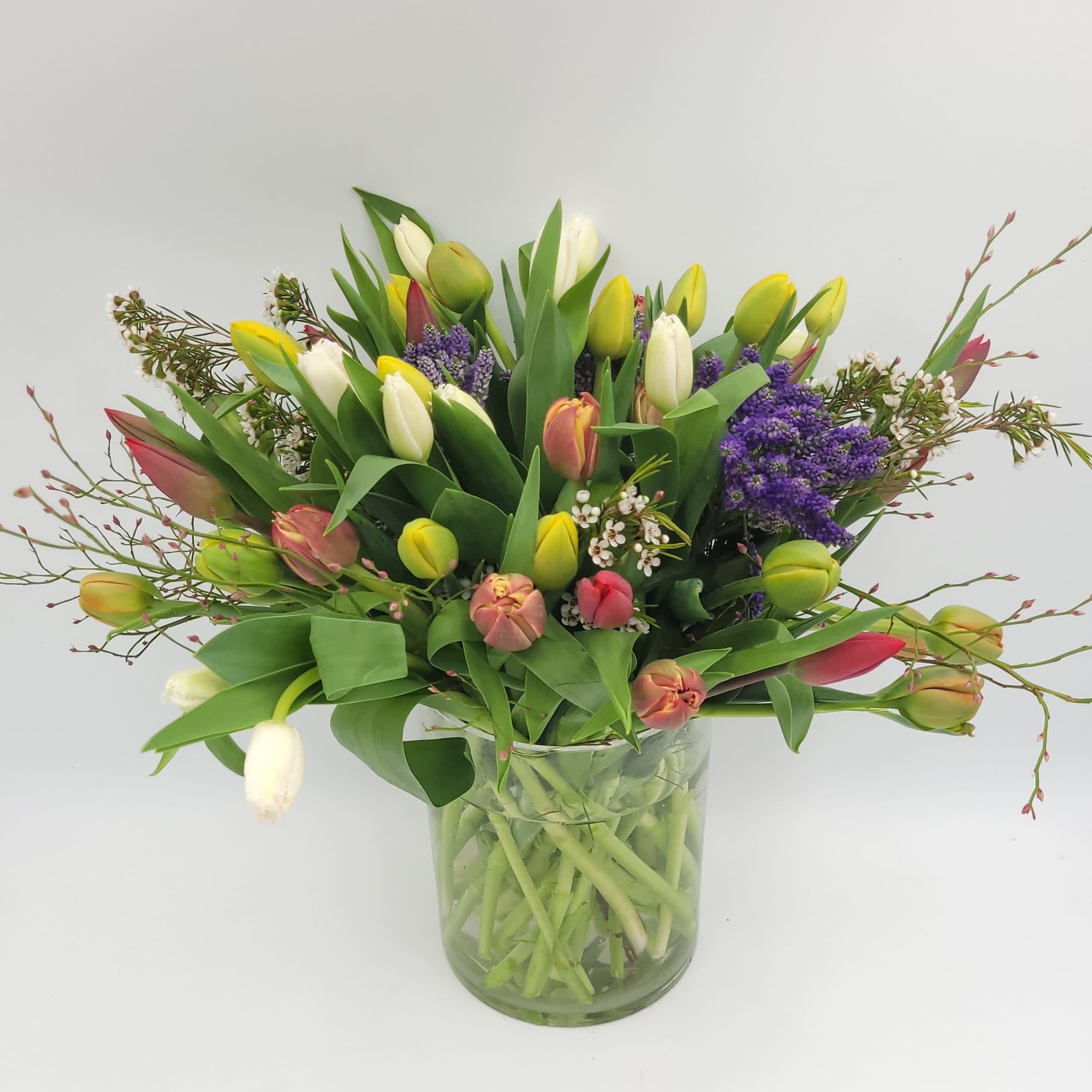 Tulip Meadow Delight