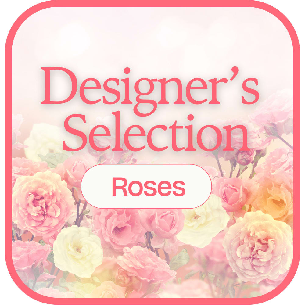 Designer's Selection 12 Roses (We choose colors)