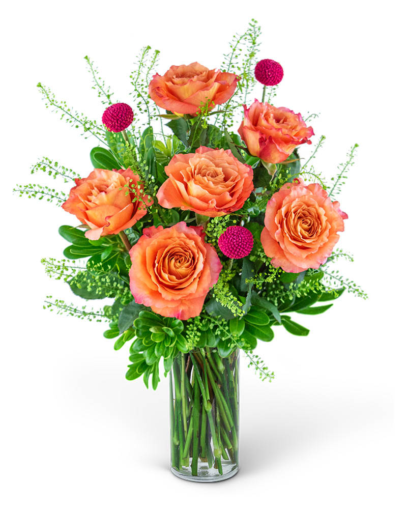 Half Dozen Wild and Free Spirit Roses Flower Bouquet