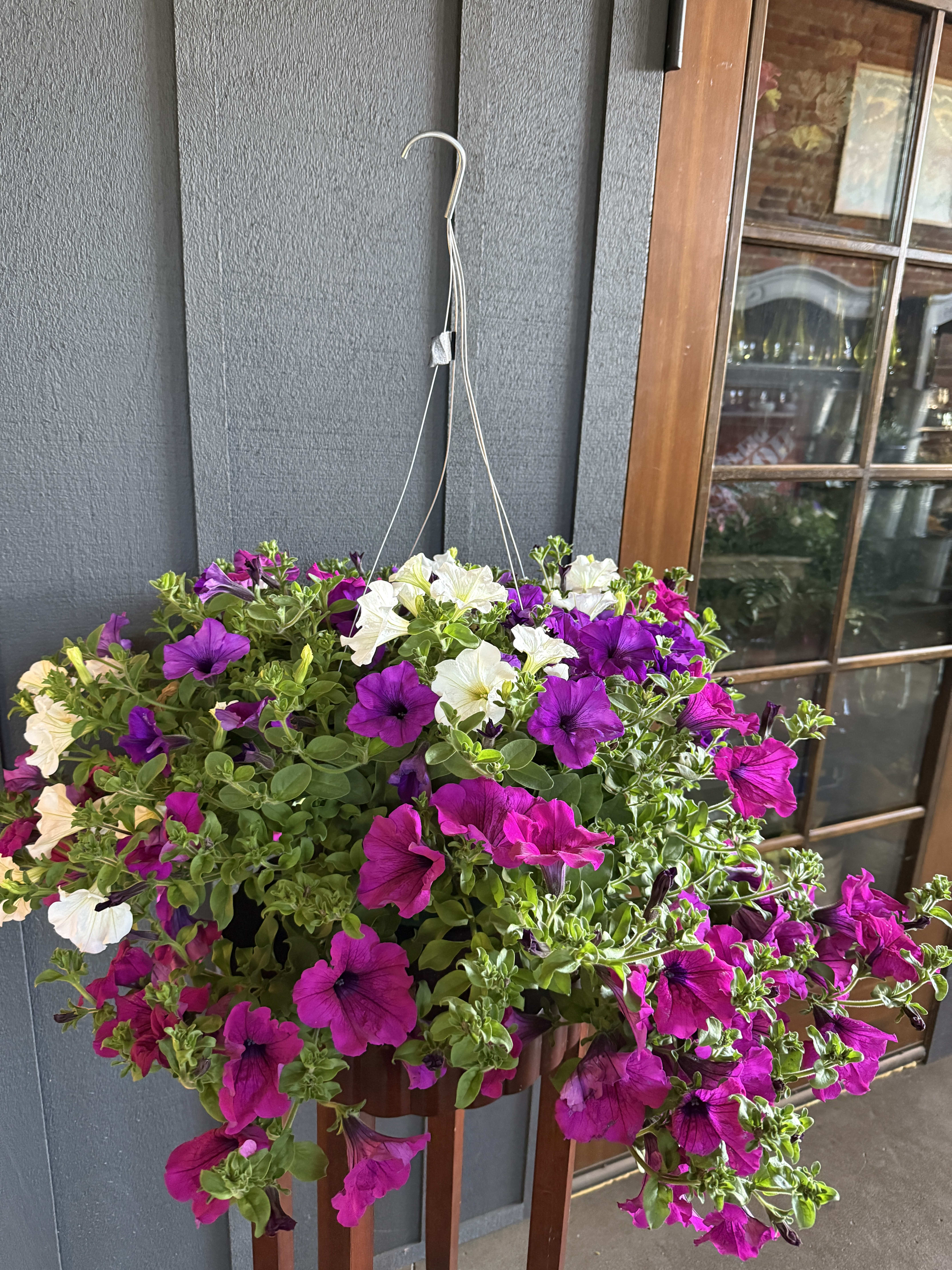 Hanging Flowering Basket 12"