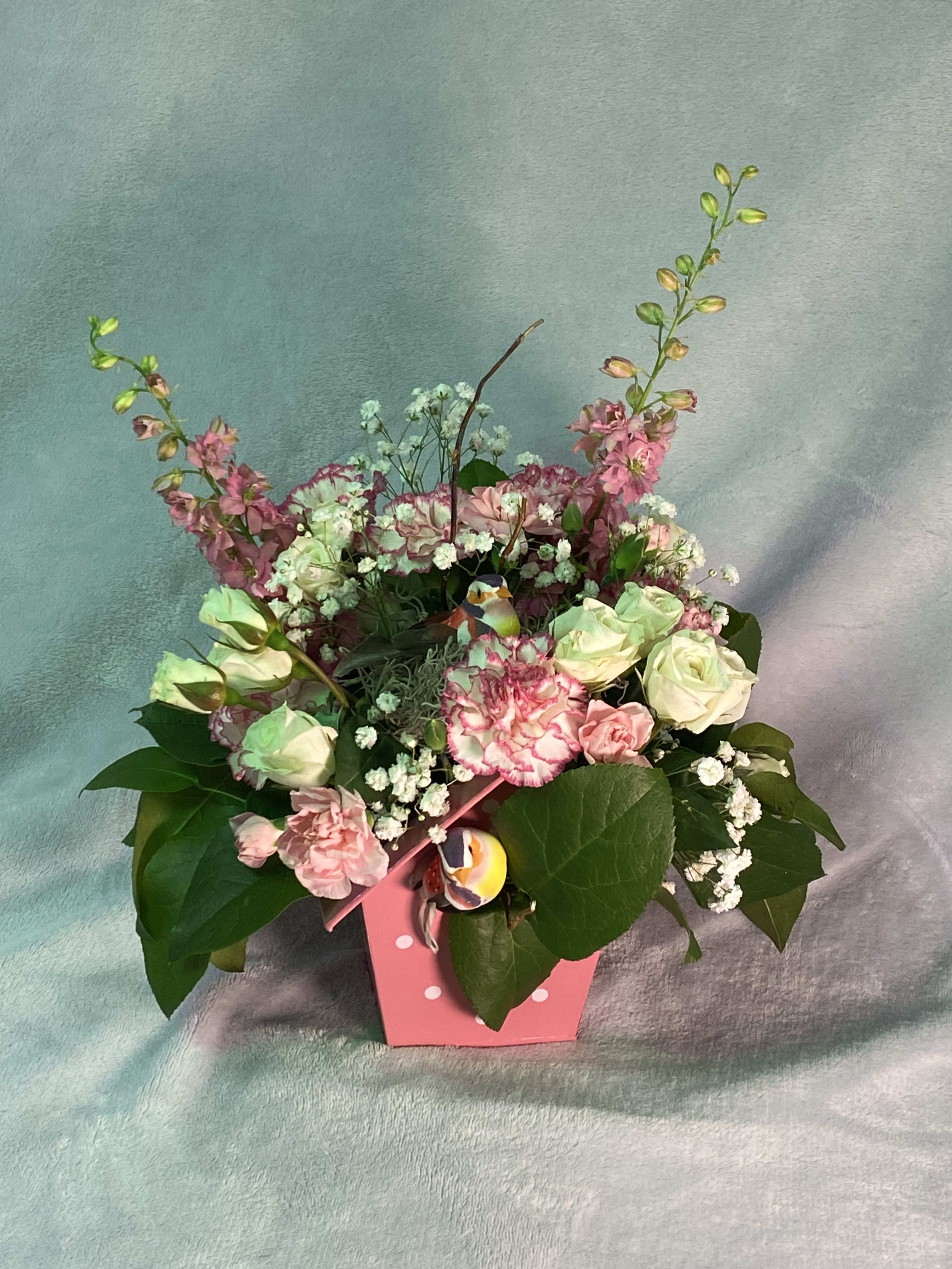 There is a New Addition to the Nest