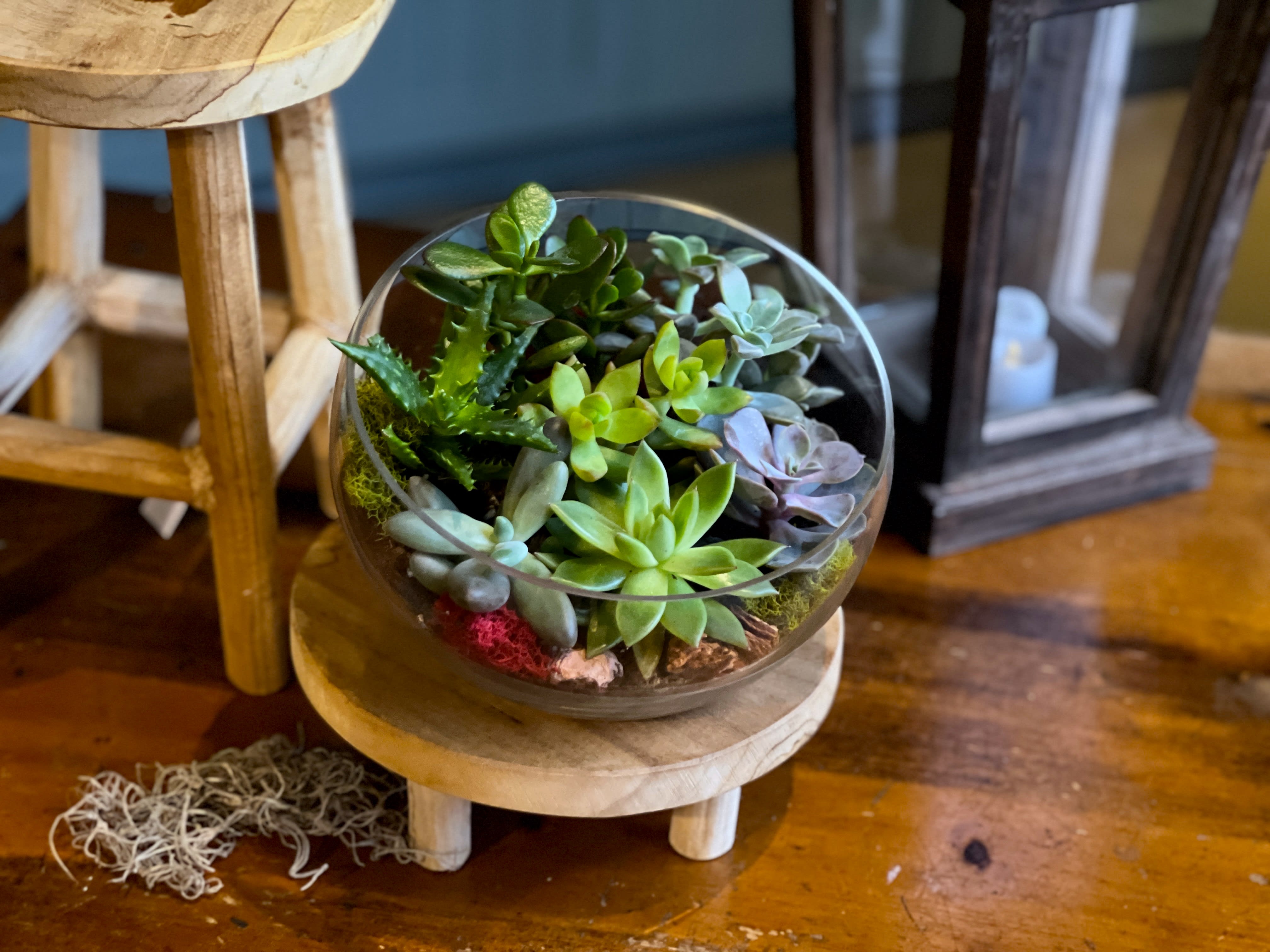 Succulent Glass Terrarium