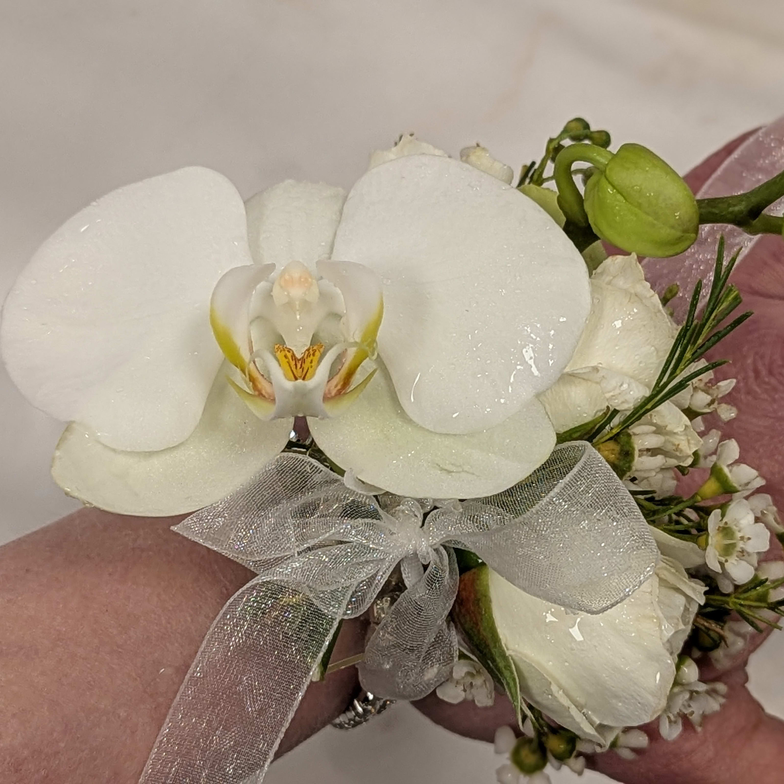 Moonlit Orchid Corsage