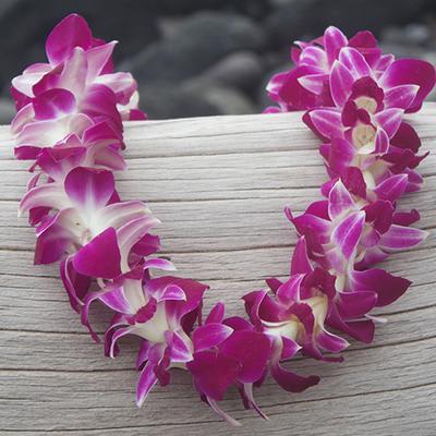 Graduation Bombay Orchid Lei Flower Bouquet
